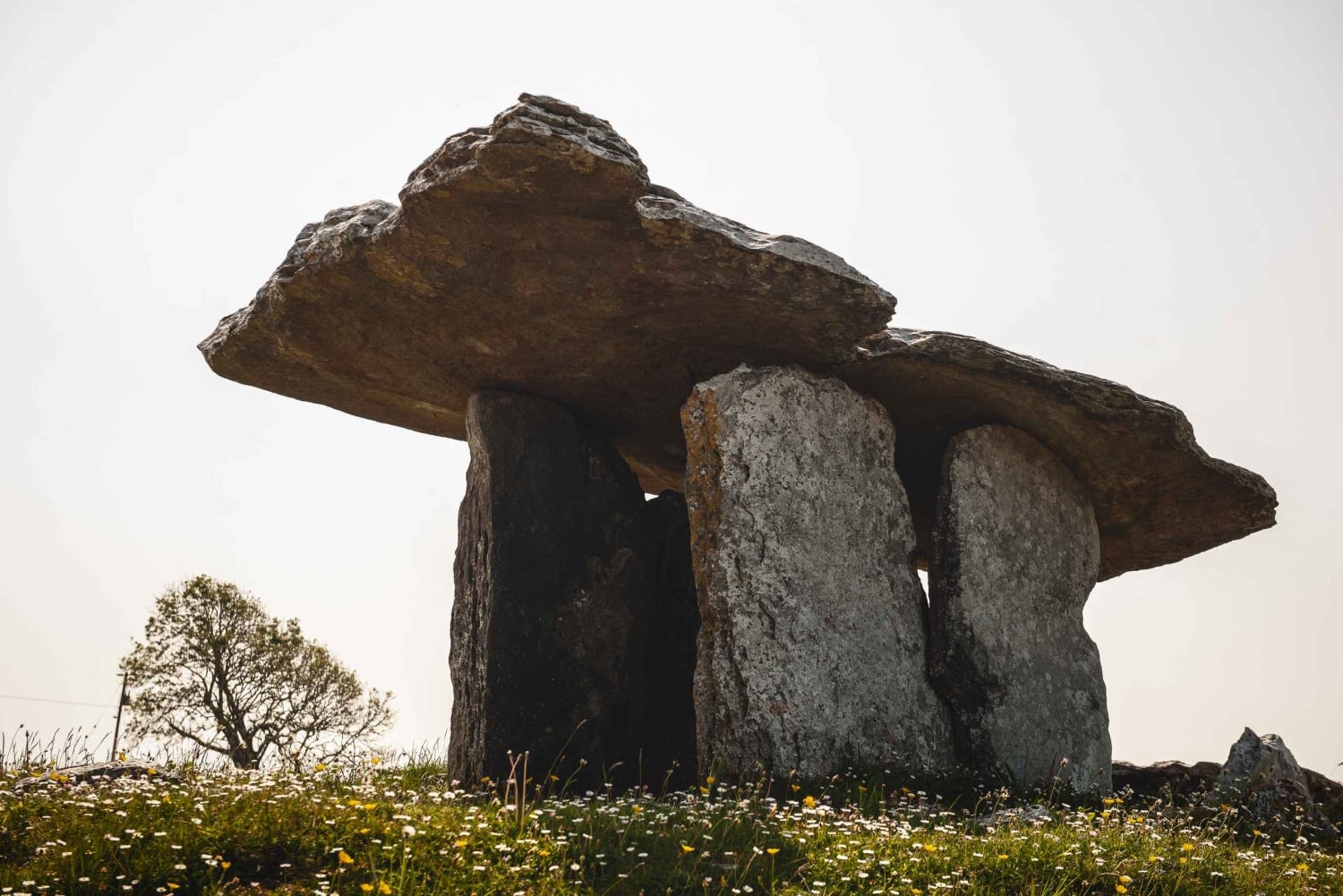 Irland: 3-dages opdagelsestur på vestkysten