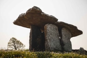 Irland: 3-dages opdagelsestur på vestkysten