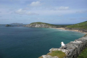 5-дневный тур по североатлантическому побережью Ирландии из Дублина