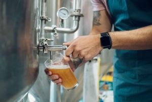 Circuit de la bière irlandaise à Dublin avec des billets pour le Guinness Storehouse