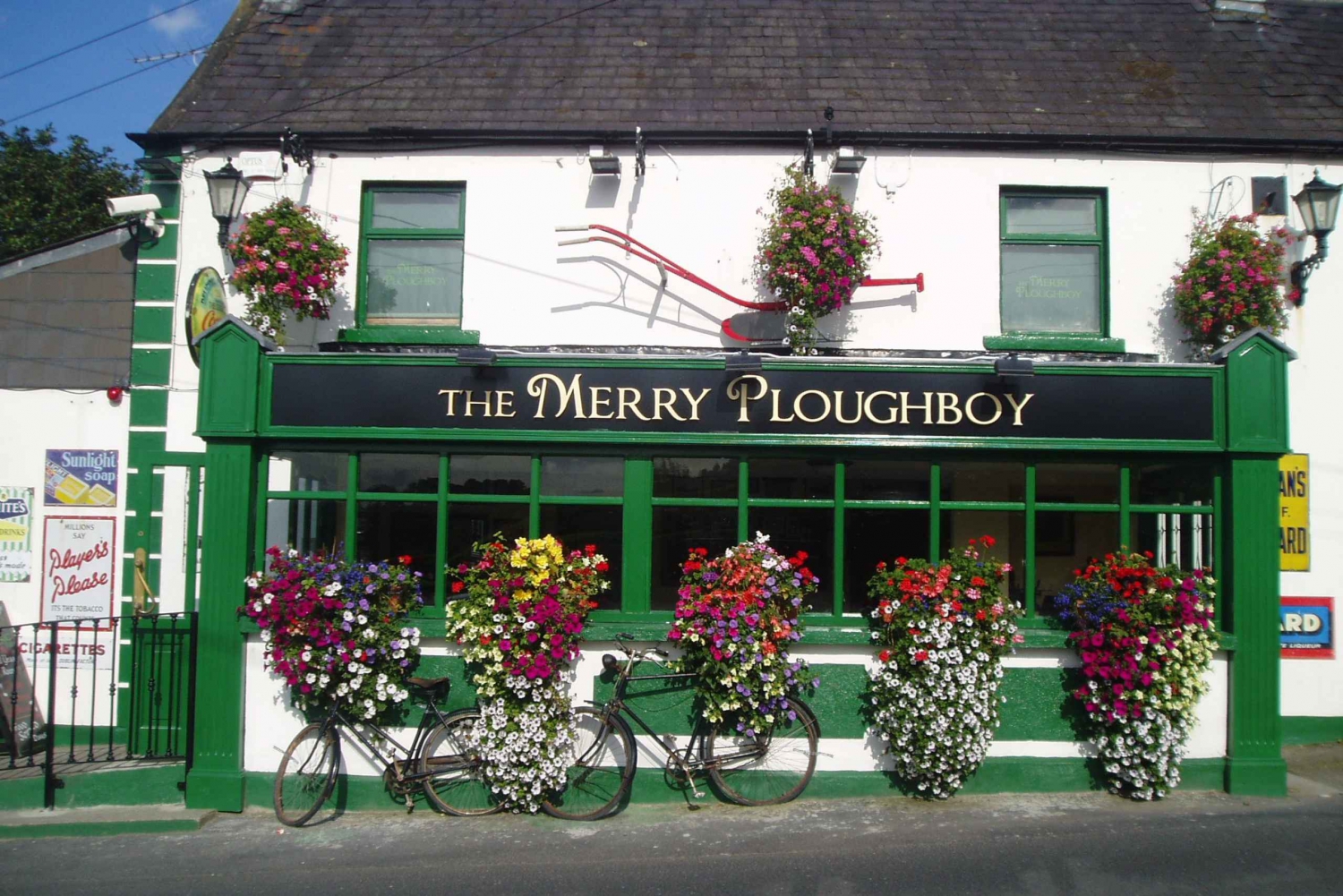 Dublin: Irländsk kvällsshow på puben Merry Ploughboy