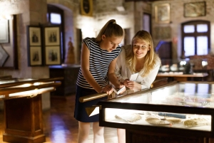 Visite guidée privée de la ville juive de Dublin avec transferts optionnels