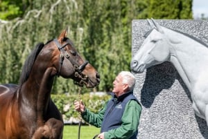 Kildare: scuderia e giardini nazionali irlandesi