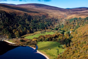 Excursão costeira de luxo: Destaques de Glendalough e Dublin