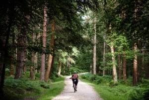 Mountain Bike Trail Discovery Ride Dublin