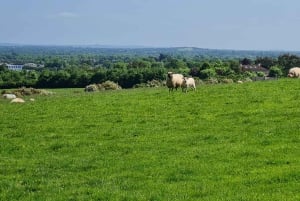 Newgrange Passage Tomb & Ancients Irish Sites.
