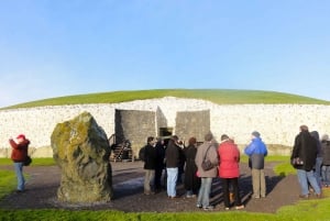 Newgrange Private Morning Tour from Dublin