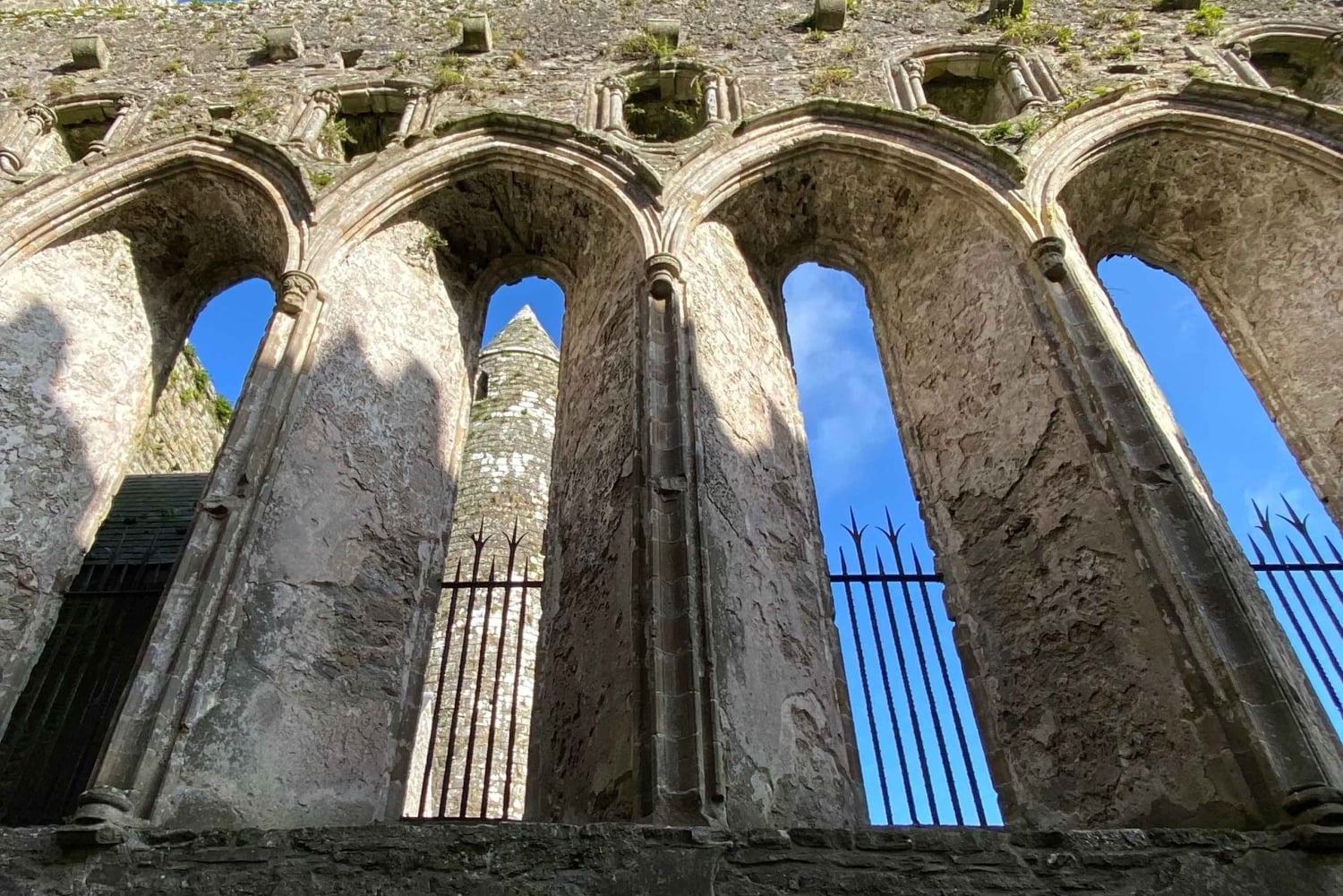 Indywidualna wycieczka z Dublina: Skała Cashel, Zamek Cahir i więcej