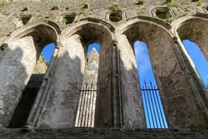 Personlig tur fra Dublin: Rock of Cashel Cahir Castle og meget mere