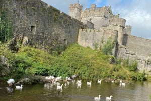 Персональный тур из Дублина: скала замка Кашел Кахир и многое другое