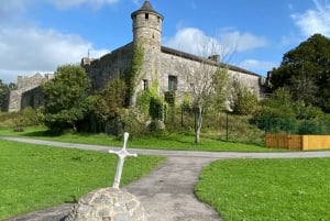 Tour personale da Dublino: Rocca di Cashel Castello di Cahir & altro