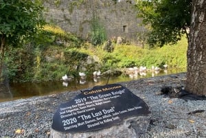 Personlig tur fra Dublin: Rock of Cashel Cahir Castle og meget mere
