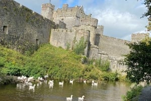 Indywidualna wycieczka z Dublina: Skała Cashel, Zamek Cahir i więcej