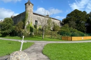 Indywidualna wycieczka z Dublina: Skała Cashel, Zamek Cahir i więcej