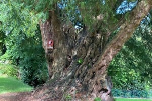 Indywidualna wycieczka z Dublina: Skała Cashel, Zamek Cahir i więcej