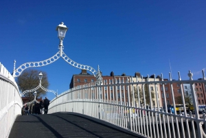 Dublin: Private City Tour in German