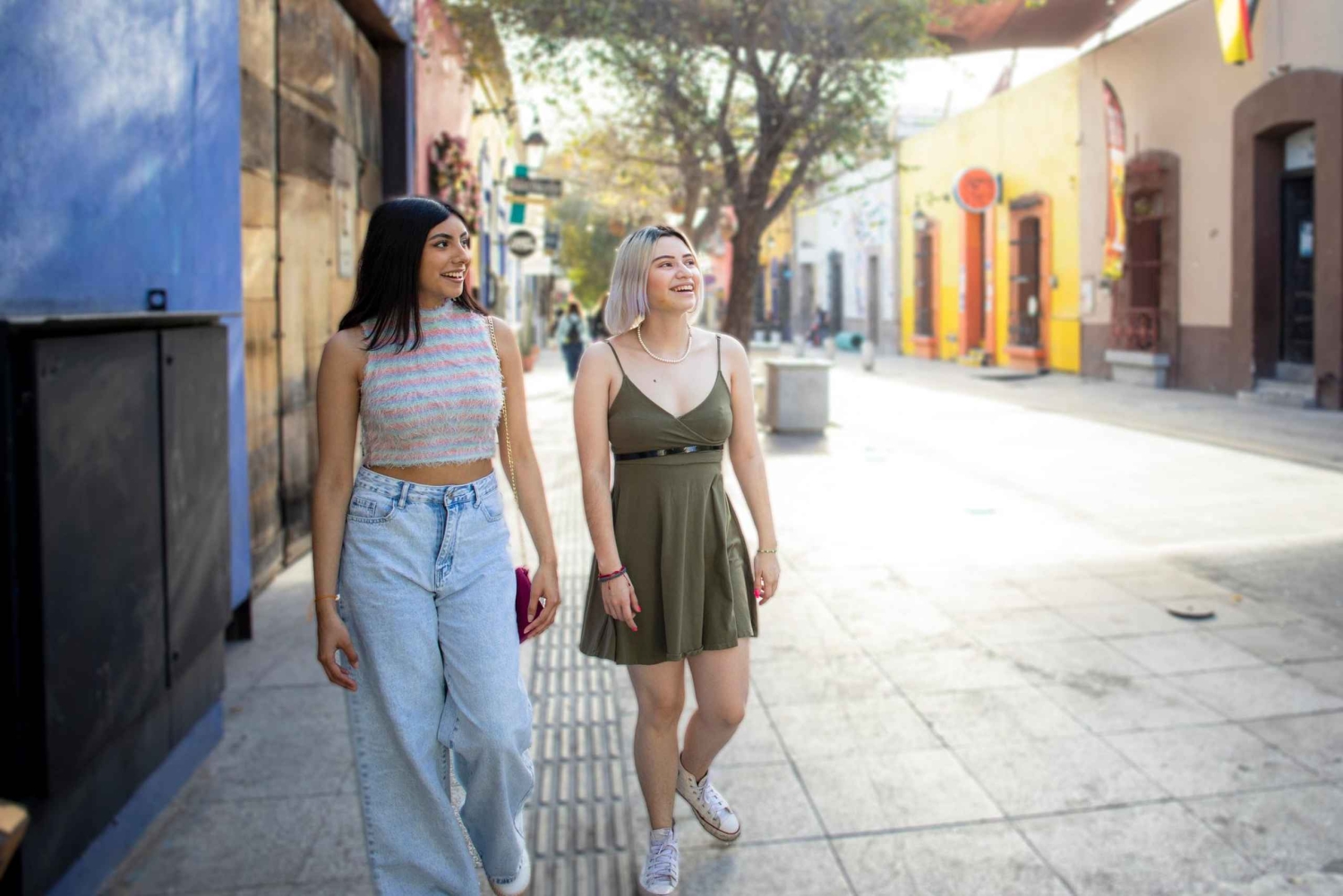 Private højdepunkter i Dublin: Historisk og kulturel vandretur