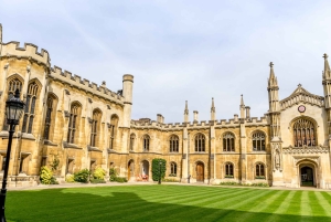 Private Dublin Tour mit Trinity College & Old Library