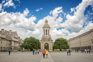 Prywatna rodzinna wycieczka po Dublinie z atrakcjami dla dzieci