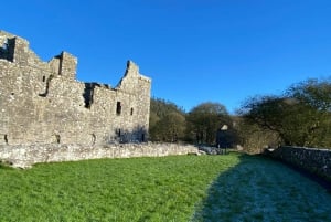 Recorrido por la Historia y el Patrimonio: Kells, Trim, Loughcrew Cairns, Fore