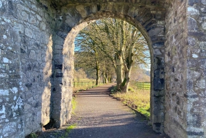 Tour della storia e del patrimonio: Kells, Trim, Loughcrew Cairns, Fore