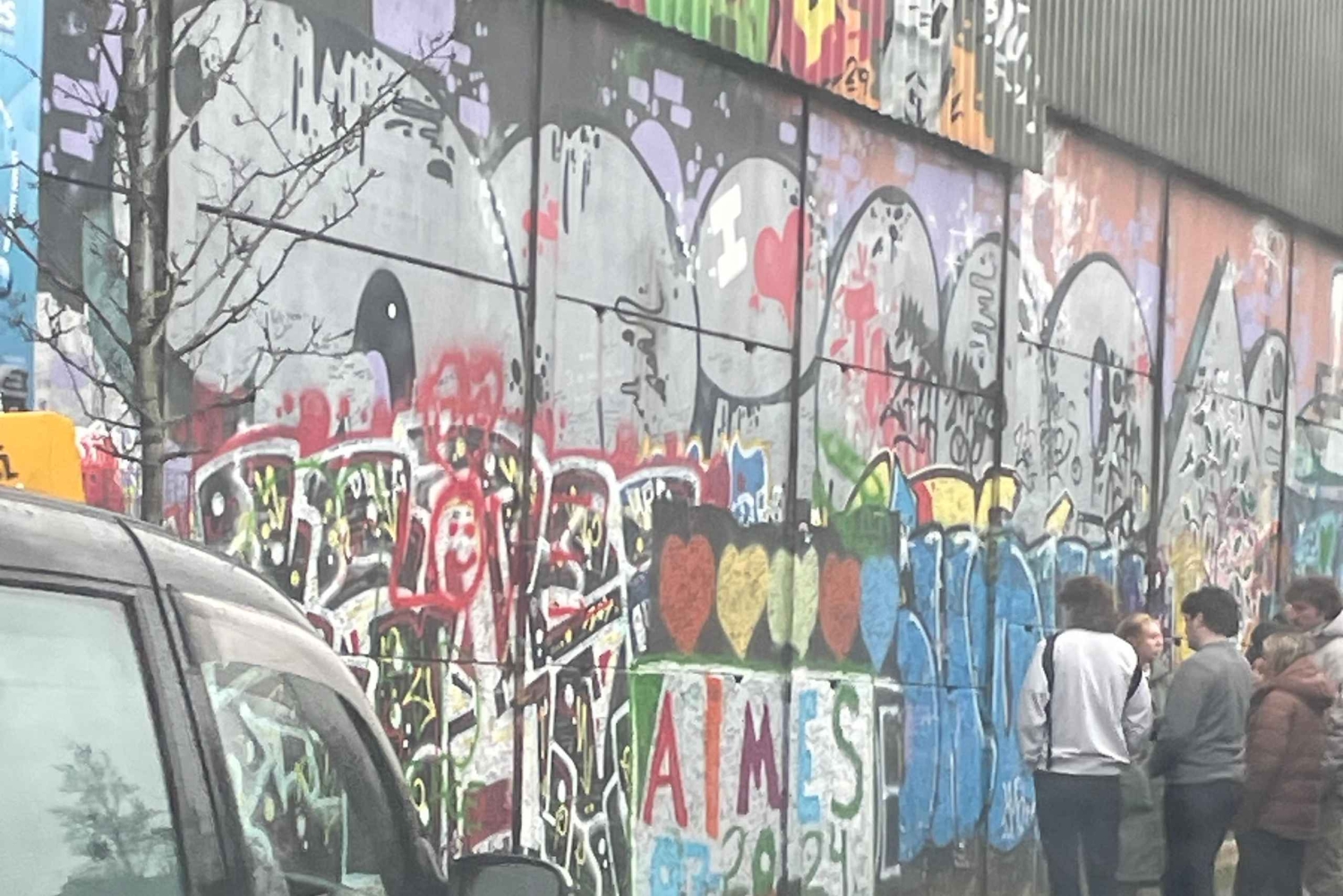 Privat luksustur til Belfast & Giants Causeway