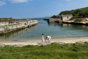Private luxury tour of Belfast & giants causeway tickets inc