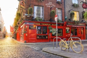 Privat provsmakning av irländsk öl och rundtur i Dublins gamla stadskärna