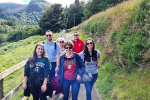 Privat tur - Co. Wicklow, Glendalough og Powerscourt Estate