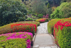 Privat tur - Co. Wicklow, Glendalough og Powerscourt Estate