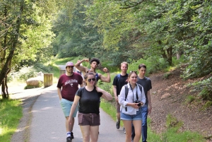 Yksityinen kierros - Co. Wicklow, Glendalough & Powerscourt Estate (Powerscourt Estate)