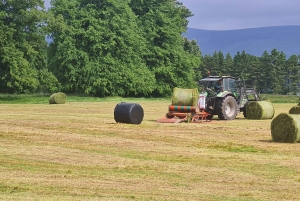 Yksityinen kierros - Co. Wicklow, Glendalough & Powerscourt Estate (Powerscourt Estate)