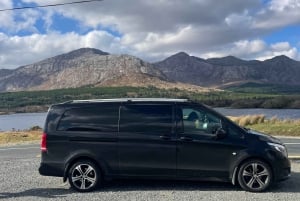 Privat omvisning i Belfast og Giant Causeway