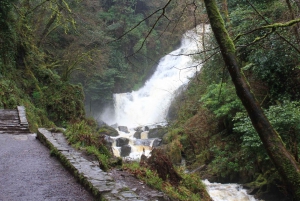 Tour privado de un día por el Atlántico Salvaje desde Cork