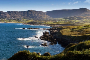 Privétour over de wilde Atlantische Oceaan vanuit Cork