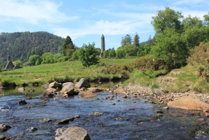 Private Wild Atlantic Day Tour from Cork