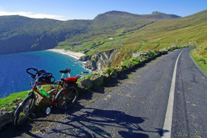 Tour privado de un día por el Atlántico Salvaje desde Cork