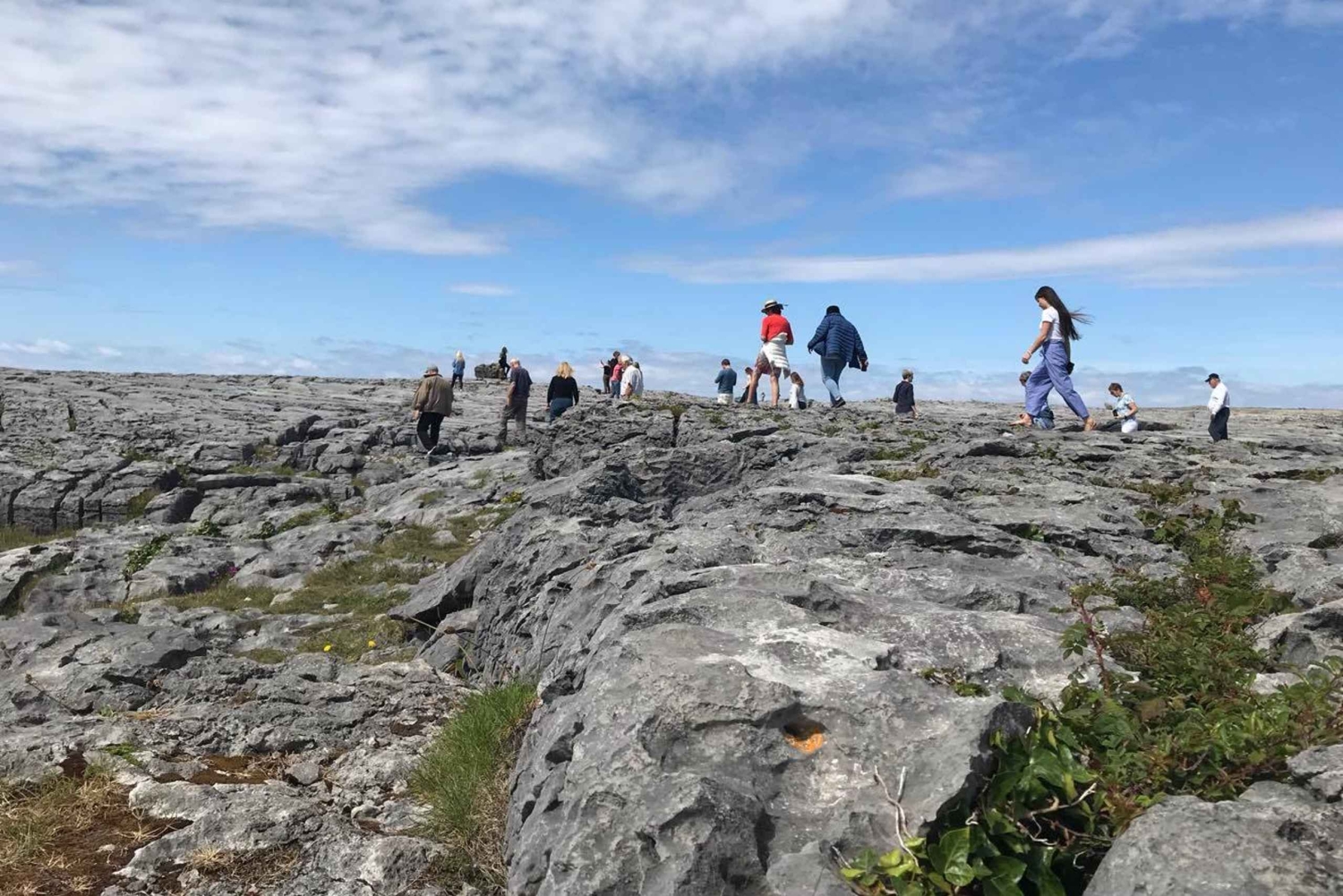 Togtur fra Dublin: 2-dages West Coast Explorer