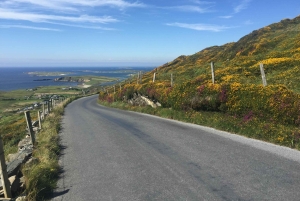 Togtur fra Dublin: 2-dages West Coast Explorer