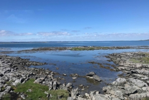 Togtur fra Dublin: 2-dages West Coast Explorer