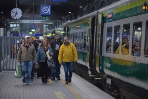 Excursão de comboio: Visita aos penhascos de Moher e ao castelo de Bunratty