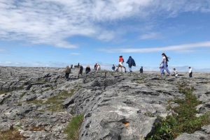 Rail Tour: The Cliffs of Moher & Bunratty Castle Tour