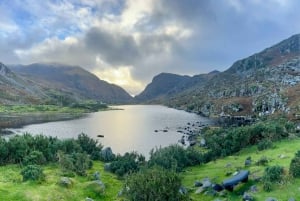 Ring of Kerry/Dingle Peninsula: Privat 2 dagars tur 6-sitsig