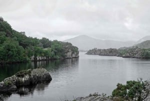 Ring of Kerry/Dingle Peninsula: Privat 2 dagars tur 6-sitsig