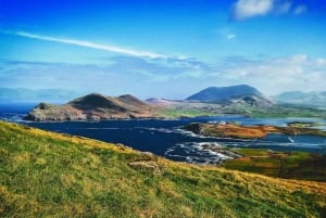 Ring of Kerry/Dingle Peninsula: Privat 2 dagars tur 6-sitsig