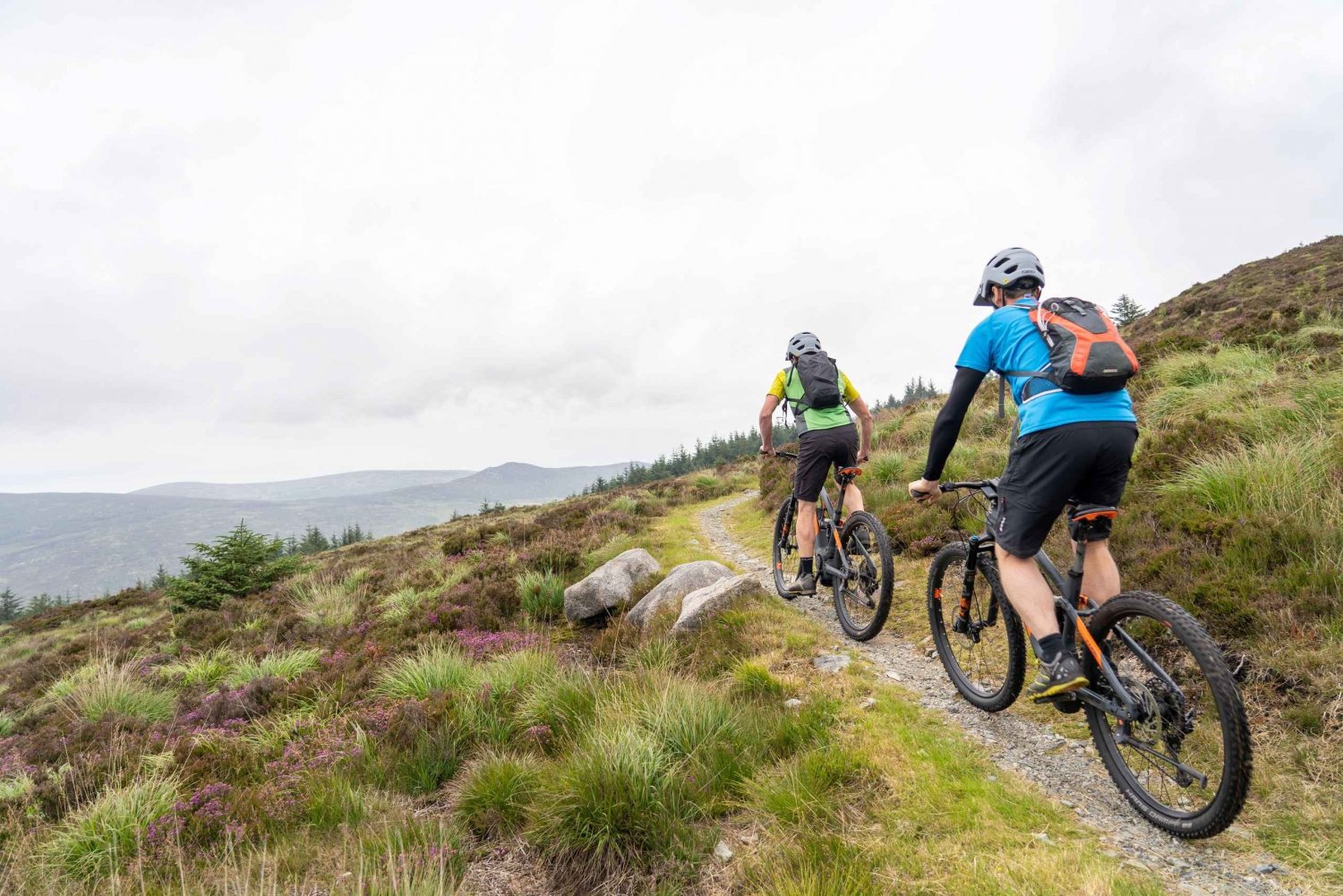 Rostrevor: Mountainbike-ervaring