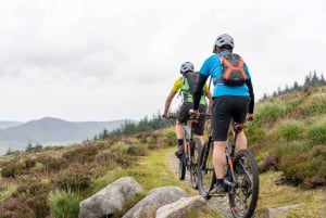 Rostrevor: Mountainbike-Erlebnis