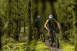 Rostrevor: Mountainbike-Erlebnis