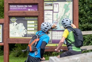 Rostrevor : Expérience de vélo de montagne