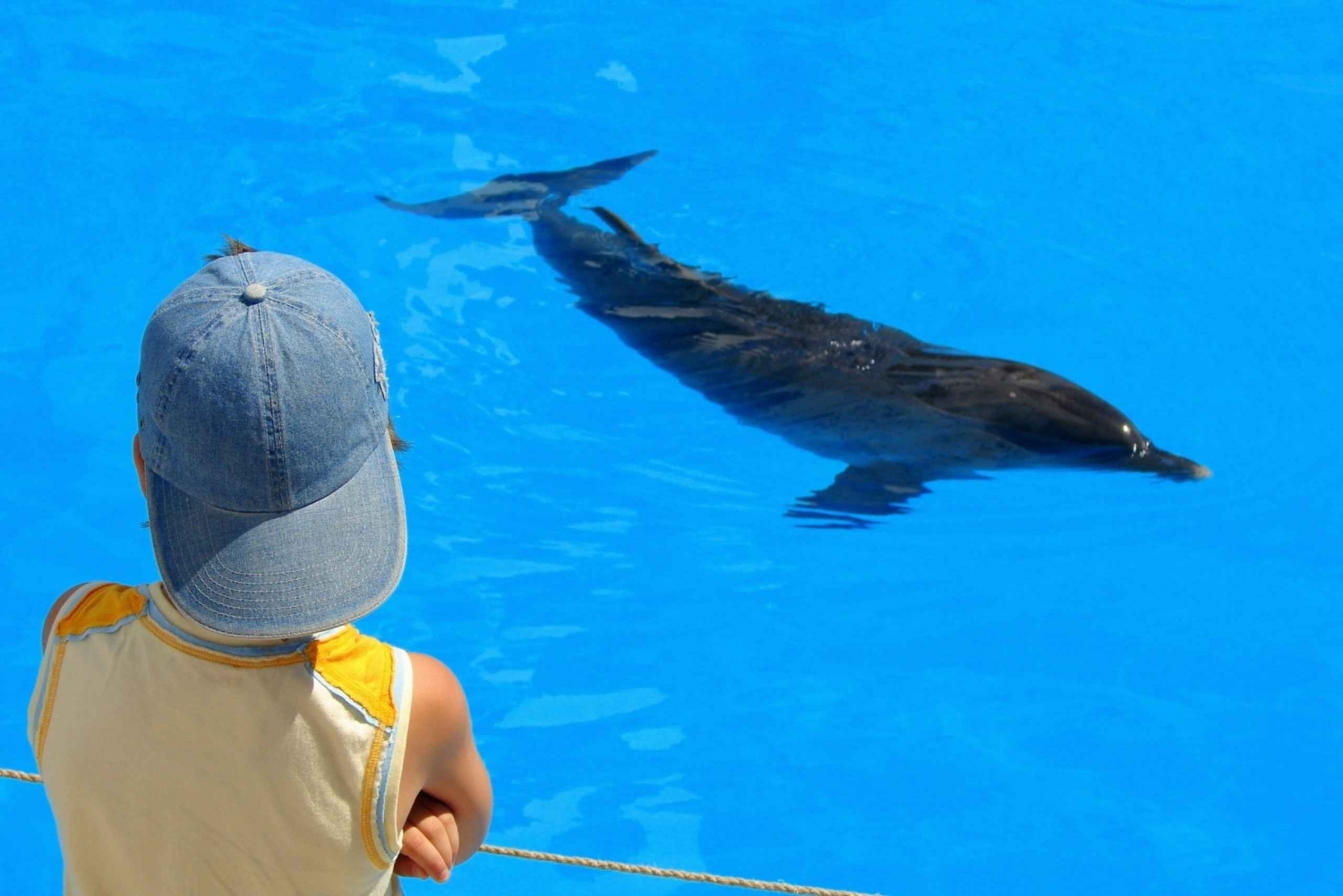 Sahl Hasheesh: Rejs wycieczkowy z nurkowaniem i obserwacją delfinów